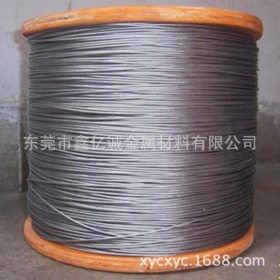 现货供应304不锈钢钢丝绳 316不锈钢丝绳 不锈钢丝 规格齐价格优