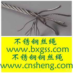 304不锈钢丝绳2.5mm，6*19不锈钢丝绳，cnsheng.com