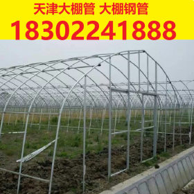 天津大棚管 蔬菜大棚管 连栋大棚管 厂家生产各种长度