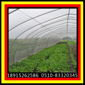 Q235B 工程温室水果蔬菜大棚钢管 冷热镀锌钢管 薄壁大棚管