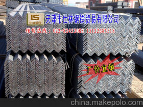 Q235B材质角钢 槽钢 天津镀锌角钢国标现货
