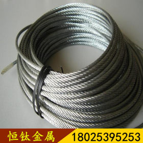 广东厂家直销304高品质钢丝绳304不锈钢多股软态钢丝绳配吊具挂钩