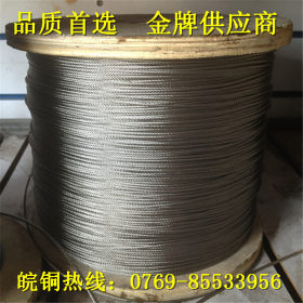 供应304 310S不锈钢钢丝绳 镀锌包胶环保钢丝绳 专业成品定制