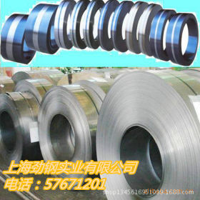 上海特供 规格齐全15CRMO 30CRMO 合金结构钢