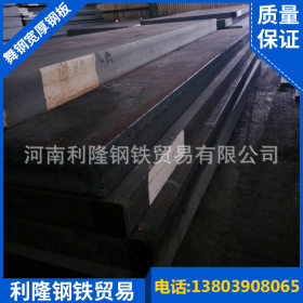 低合金高强板厂家直销 Q345D低合金钢板 耐低温高强板 可定制