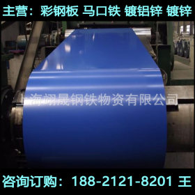 上海宝钢HDP高耐久氟碳聚酯PE彩钢瓦 海蓝白灰彩钢板可压瓦覆膜