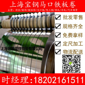 【质量保证】上海现货供应马口铁镀锡 T-3  食品级钢材 光亮镀锡