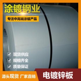 广东现货批发零售电解板  电解开平板 SECC 耐指纹电镀锌板