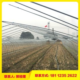 连棟大棚实用的蔬菜大棚管上海大棚钢管厂低价销售镀锌管及配件
