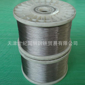 长期供应 304不锈钢钢丝绳 高强度不锈钢钢丝绳 310S不锈钢丝绳
