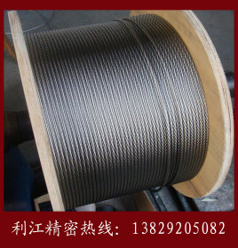 满足供应进口304不锈钢钢丝绳 软绳 硬绳 精密316不锈钢丝绳