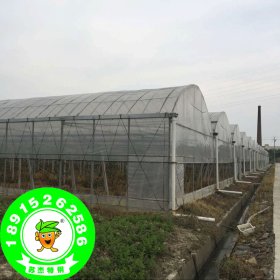 大棚钢管厂-大棚温室配件-简易蔬菜温室 单体钢架大棚管