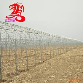 天津生产椭圆管 养殖椭圆大棚骨架 石家庄一亩地多少钱