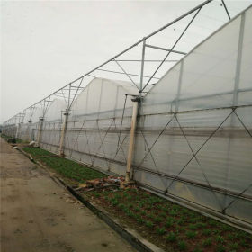 厂家承接异型连栋农用镀锌大棚管温室蔬菜连栋大棚管 抗风12级上