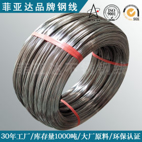 304不锈钢焊线 不锈钢焊线厂家 菲亚达现货销售0.1-6.0mm卷线