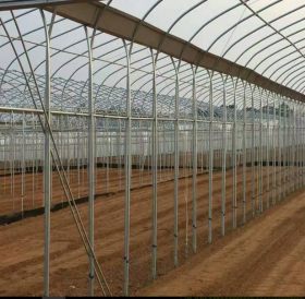 贵州遵义专业生产 农用温室大棚骨 温室大棚管连体大棚