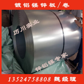 供应韩国浦项超耐蚀镁铝锌板材
