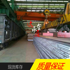 【上海达承】供应德国进口S460NL钢板 S460NL圆钢 S460NL结构钢