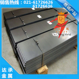 【上海达承】供应德标进口304S51圆钢 304S51钢棒 合金结构钢