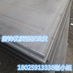 供应NM500钢板 NM500耐磨板 中厚板 NM500耐磨钢板现货  定尺切割