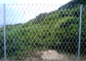 广州占兴荷兰网护栏网铁丝网钢丝网防护网围墙围栏公路护栏养殖网