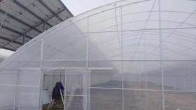 甘肃兰州订购双拱双膜温室 大型大跨度连栋温室 薄膜拱形温室大棚