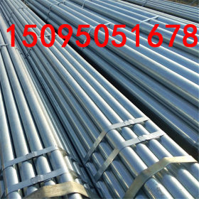 厂家直销Q215镀锌钢管 大棚专用镀锌带管 1.2寸*2.5m