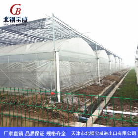 椭圆管40*80*1.2 装配式钢结构  农业大棚 在线生产 可定做 车丝