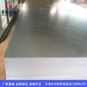 镀锌钢板2.5*1250*2500 开平定尺普通热轧板 热轧钢板 冷轧钢板