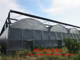 现货供应蔬菜大棚 单体薄膜温室 葡萄养殖农业薄膜温室大棚