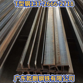 经营异型钢，佛山热轧T型钢定制，广州抛解T型钢，广州焊接T型