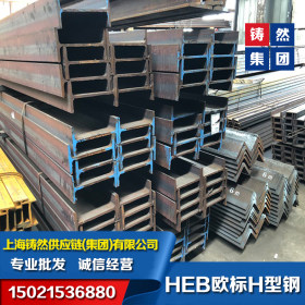 上海供应德标H型钢IPB220*220*9.5*16-S355J2德标型钢下差范围